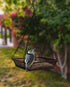 Hanging Bird Feeder with Mesh Tray, Black